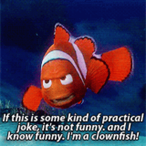 Clown Fish With Practical Joke Caption