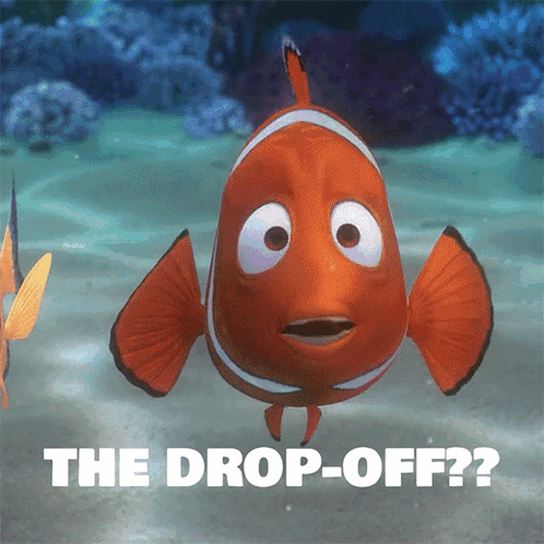 Clown Fish with The Drop-Off
