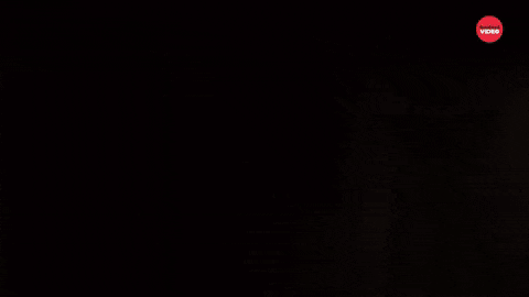 Clown Man Open The Noor Meme GIF