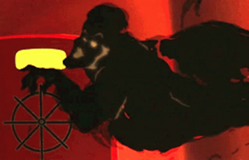 Clown Shadow on Red and Yellow Wall