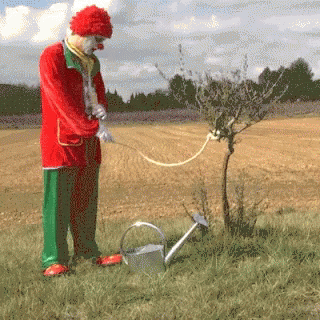 Clown Watering Tree with Can
