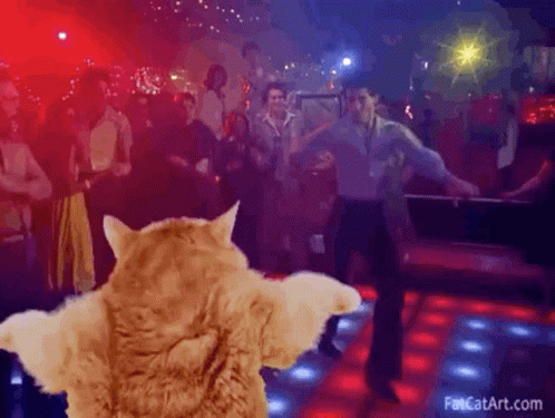 Club Cat Party Disco Dance Floor GIF