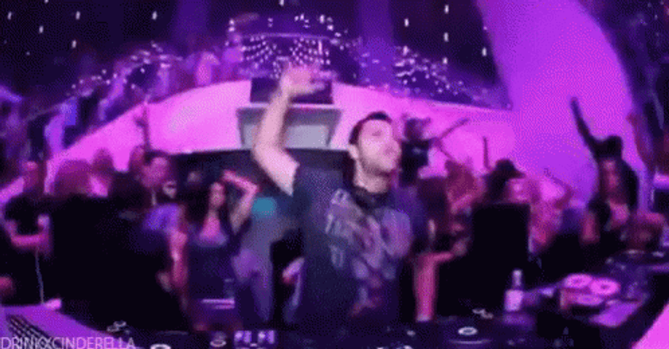 Club DJ Partying With People GIF