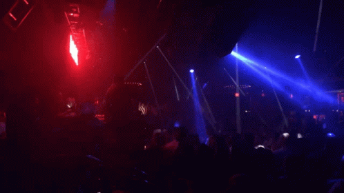 Club Party On Vegas Vacation GIF