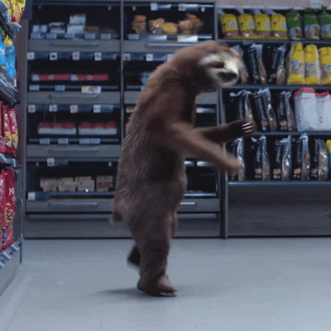Clubbing Sloth Convenience Store GIF