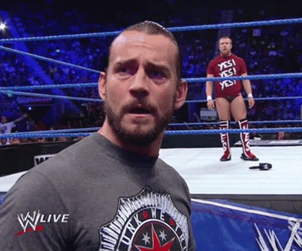 CM Punk And Daniel Bryan GIF