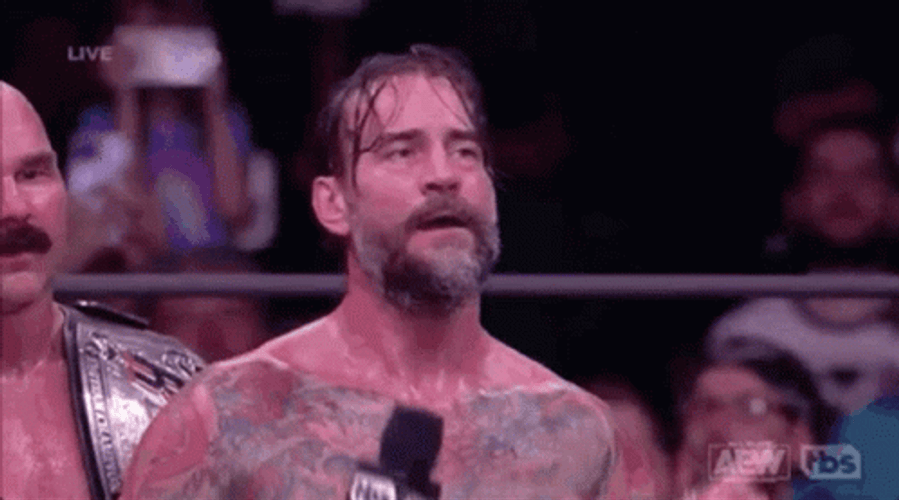 CM Punk The Champ GIF