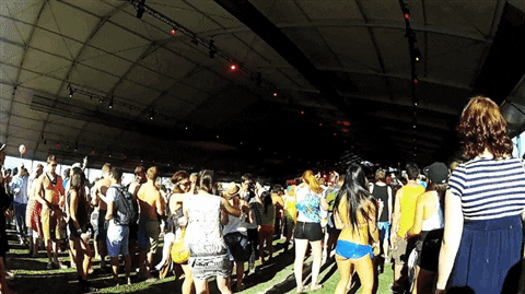 Coachella Crowd Vibe GIF
