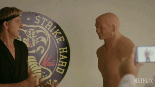 Cobra Kai Johnny Dummy Demo GIF