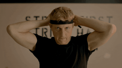 Cobra Kai Johnny Karate Sensei GIF