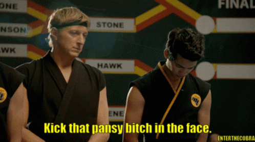 Cobra Kai Kick That Pansy GIF