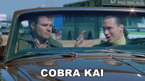 Cobra Kai Never Dies Karate Kid GIF