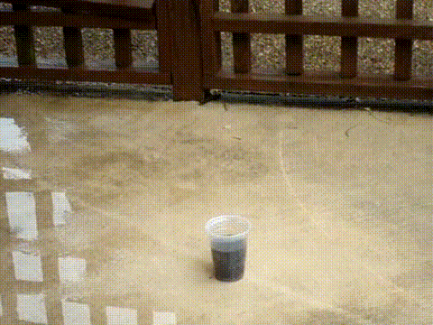 Coca Cola And Chlorine Chemical Reaction GIF
