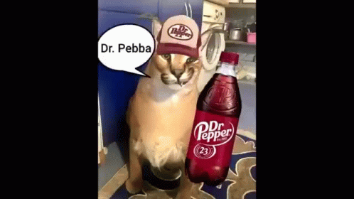 Coca Cola Animals With Their Favorites GIF