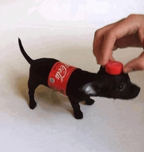 Coca Cola Espuma Meme GIF