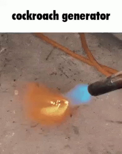 Cockroach Got Torched GIF