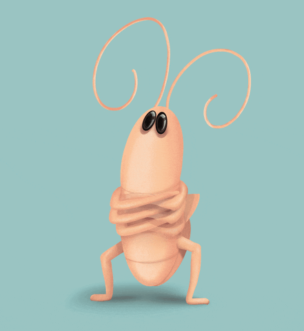 Cockroach Russian Dance GIF
