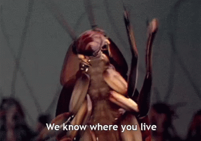 Cockroach Saying We Know Where You Live