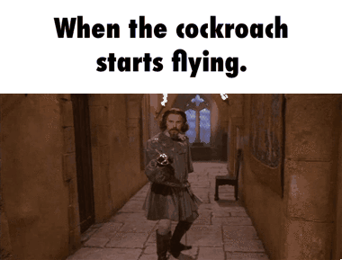 Cockroach Starts Flying Meme GIF