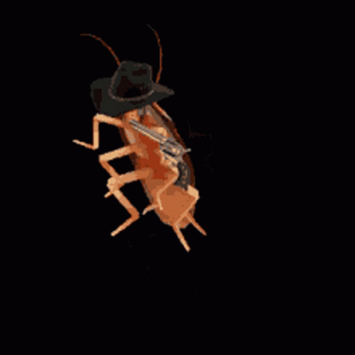 Cockroach With Gun on Its Back