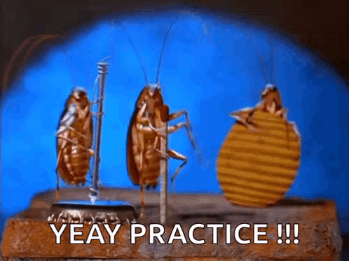 Cockroaches Yeay Practice