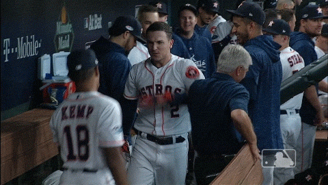 Cocky Alex Bregman Congratulated GIF