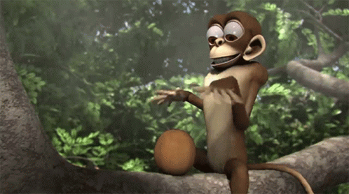 Coco Monkey Muy Loco GIF