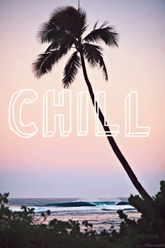 Coconut Tree Chill GIF
