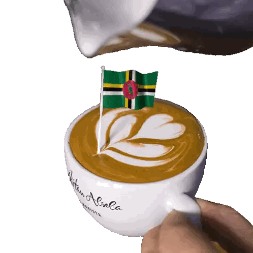 Coffee Cup Boston Aliola