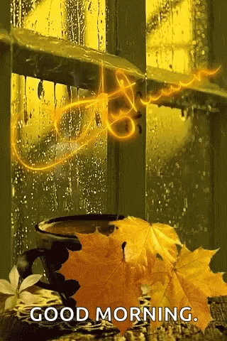 Coffee Cup by Rainy Window With Leaves
