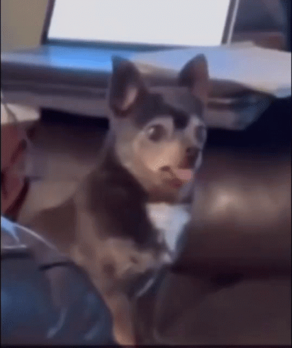 Coffee Cup Hello Hump Day GIF