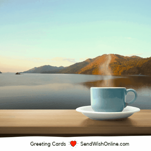 Coffee Cup On Saucer In Nature GIF
