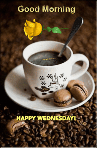Coffee Cup On Saucer With Beans And Cookies GIF
