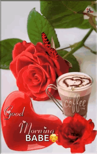 Coffee Cup Red Roses Good Morning Babe