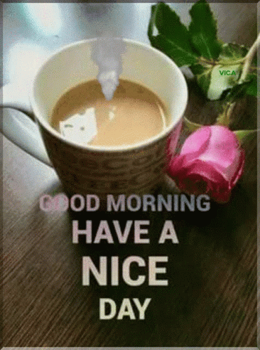 Coffee Cup Rose Good Morning Have A Nice Day GIF