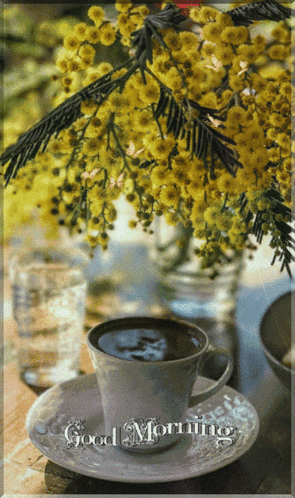 Coffee Cup Saying Good Morning GIF