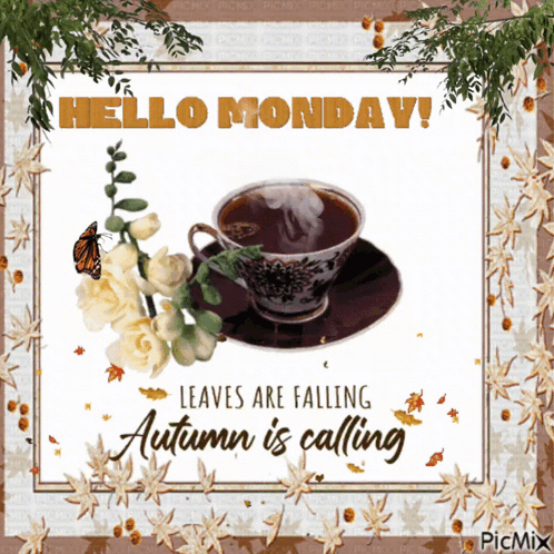 Coffee Cup Saying Hello Monday