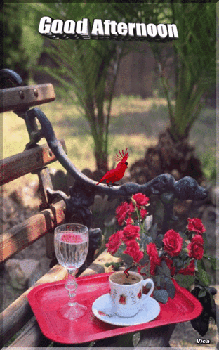 Coffee Cup With Have a Wonderful Wednesday