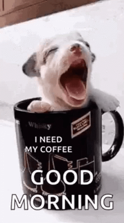 Coffee Good Morning Puppy In Mug GIF