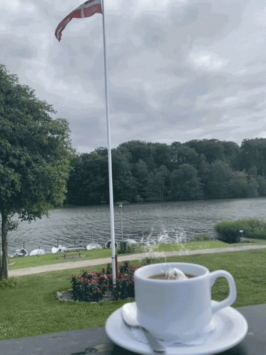 Coffee on Saucer in Front of Flag and Lake