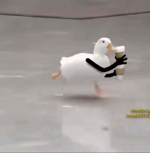 Coffee Time With American Pekin Running GIF