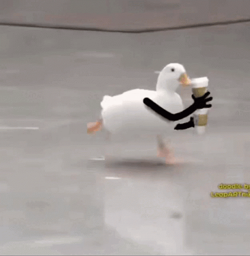 Coffee Time With American Pekin Running GIF
