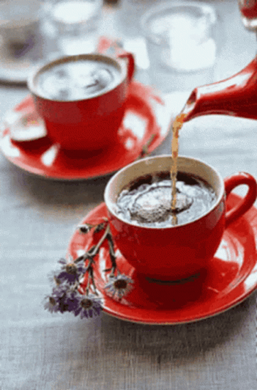 Coffee Time With Flower In Red Cup GIF