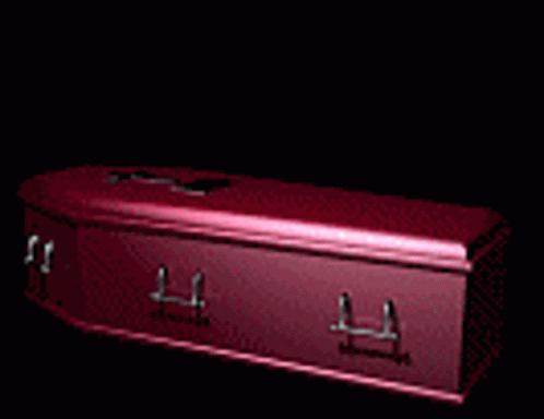 Coffin Animated Skeleton Get Up GIF