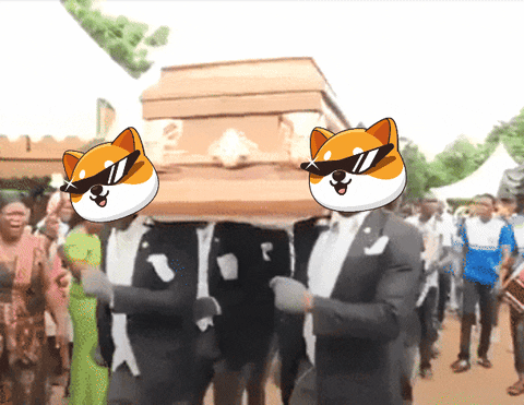 Coffin Dance Dancers With Cat Face On GIF