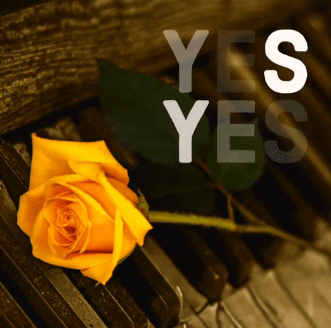 Coffin Dance Won't Be Perfect Without Flower GIF