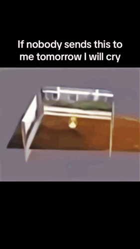 Coffin If Nobody Sends This To Me Tomorrow I Will Cry