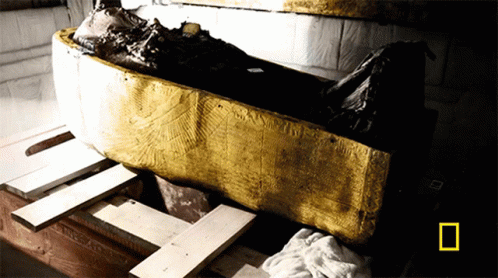 Coffin With National Geographic Logo