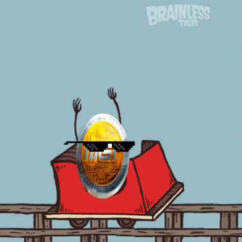 Coin Wearing Sunglasses on Roller Coaster