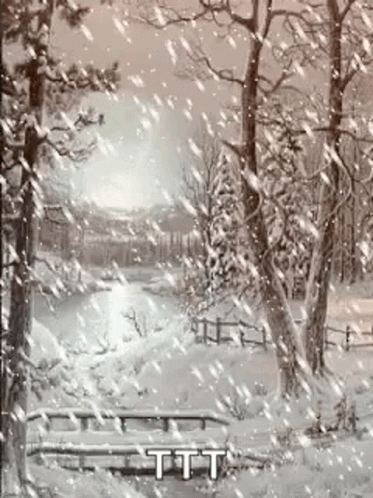 Cold And Peaceful Snowfall GIF